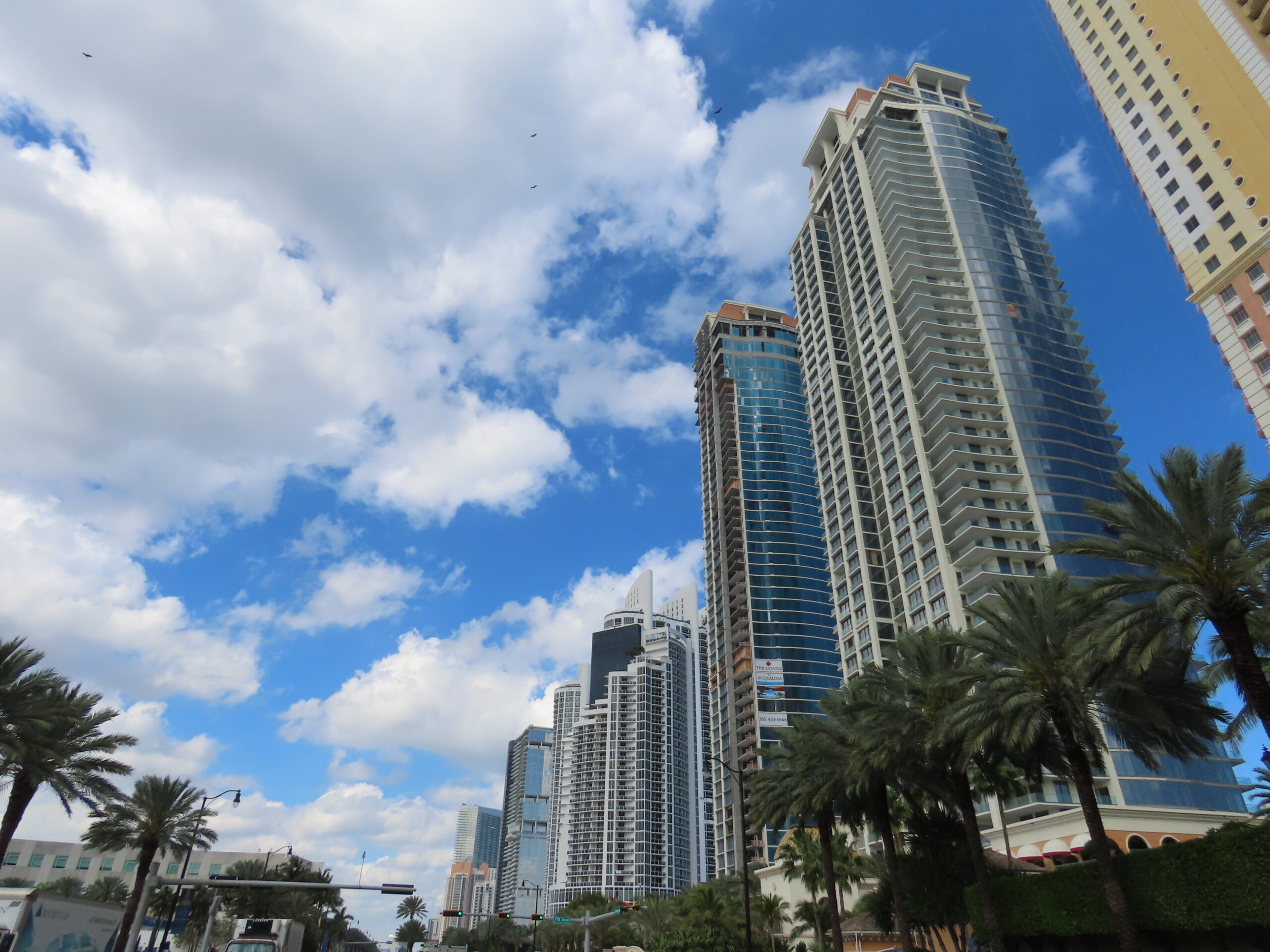 Miami: El paraíso elegido por los jóvenes para invertir en el mercado